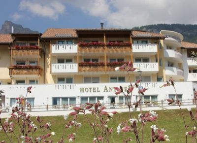 Hotel Antines